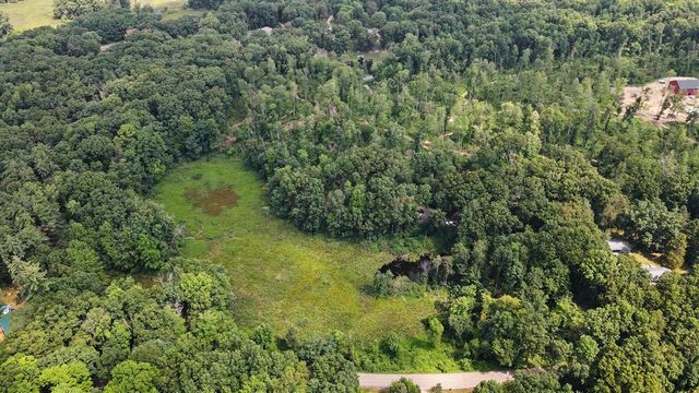 11091 W Drive, Bellevue, MI 49021