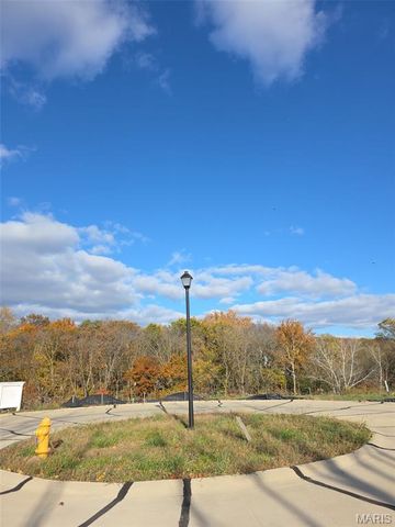 2025 Lily Avenue, Kirkwood, MO 63122