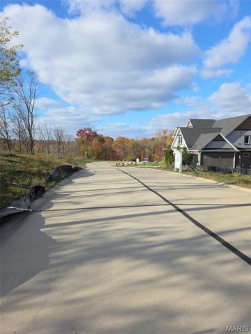 2025 Lily Avenue, Kirkwood, MO 63122