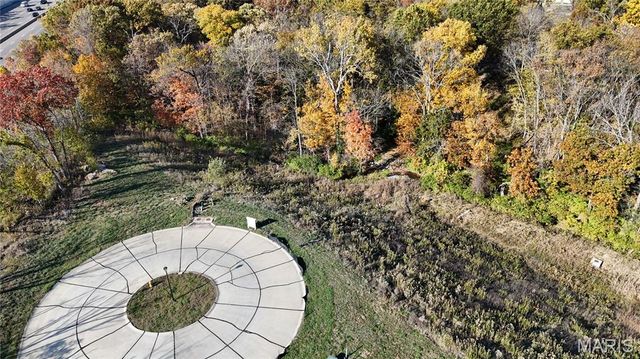 2025 Lily Avenue, Kirkwood, MO 63122