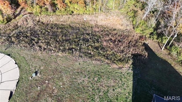 2025 Lily Avenue, Kirkwood, MO 63122