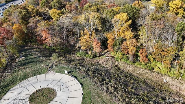 2025 Lily Avenue, Kirkwood, MO 63122