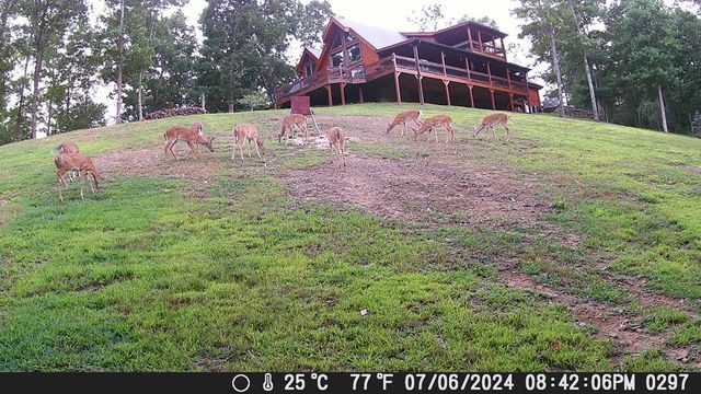 4760 Anderson Road, Hiawassee, GA 30546