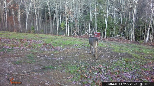 4760 Anderson Road, Hiawassee, GA 30546