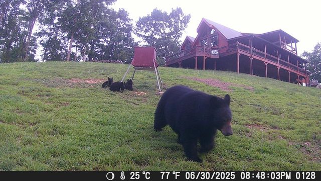 4760 Anderson Road, Hiawassee, GA 30546