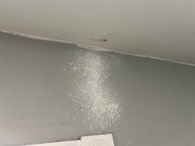 1306 Elby Street, Irving, TX 75061