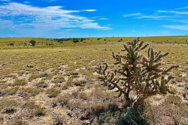 TBD Schmitt Rd, Rye, CO 81069
