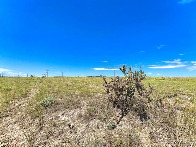 TBD Schmitt Rd, Rye, CO 81069