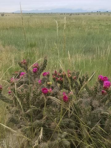 TBD Schmitt Rd, Rye, CO 81069