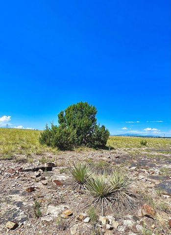 TBD Schmitt Rd, Rye, CO 81069