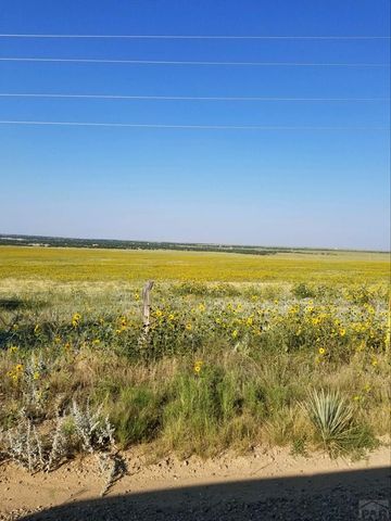 TBD Schmitt Rd, Rye, CO 81069