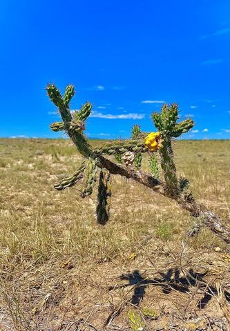 TBD Schmitt Rd, Rye, CO 81069