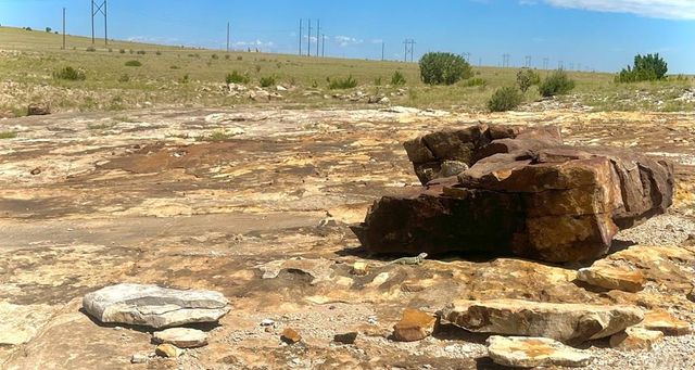 TBD Schmitt Rd, Rye, CO 81069