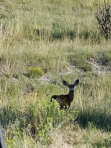 TBD Schmitt Rd, Rye, CO 81069