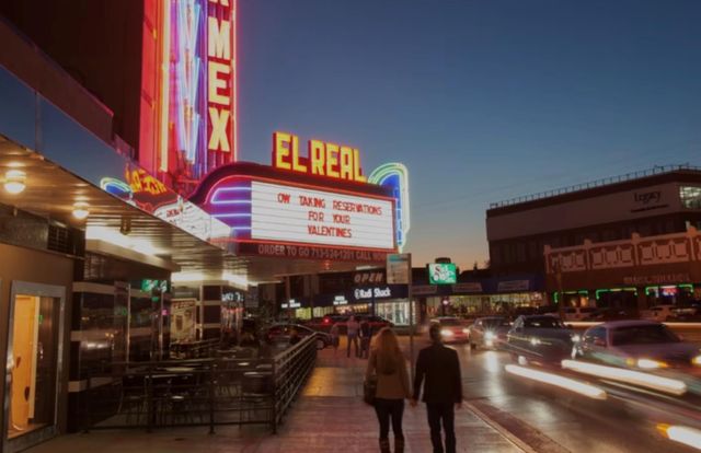 1209 Bomar Street, Houston, TX 77006