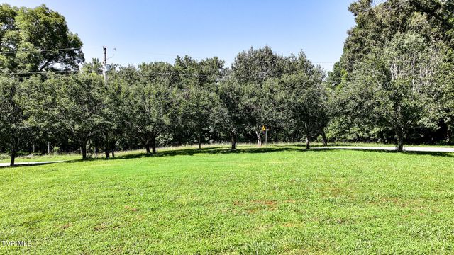 12 Grace Drive, Greeneville, TN 37745