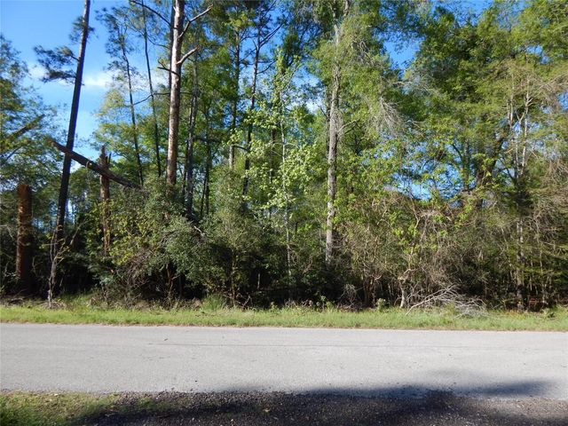 000 Pin Oak Lane, Houston, TX 77336