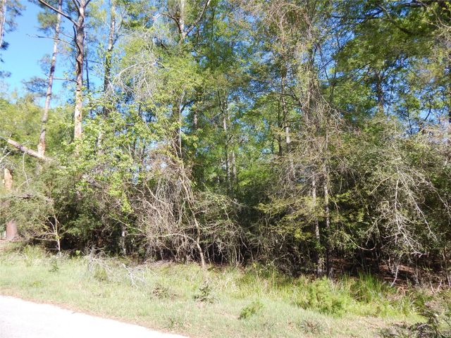 000 Pin Oak Lane, Houston, TX 77336