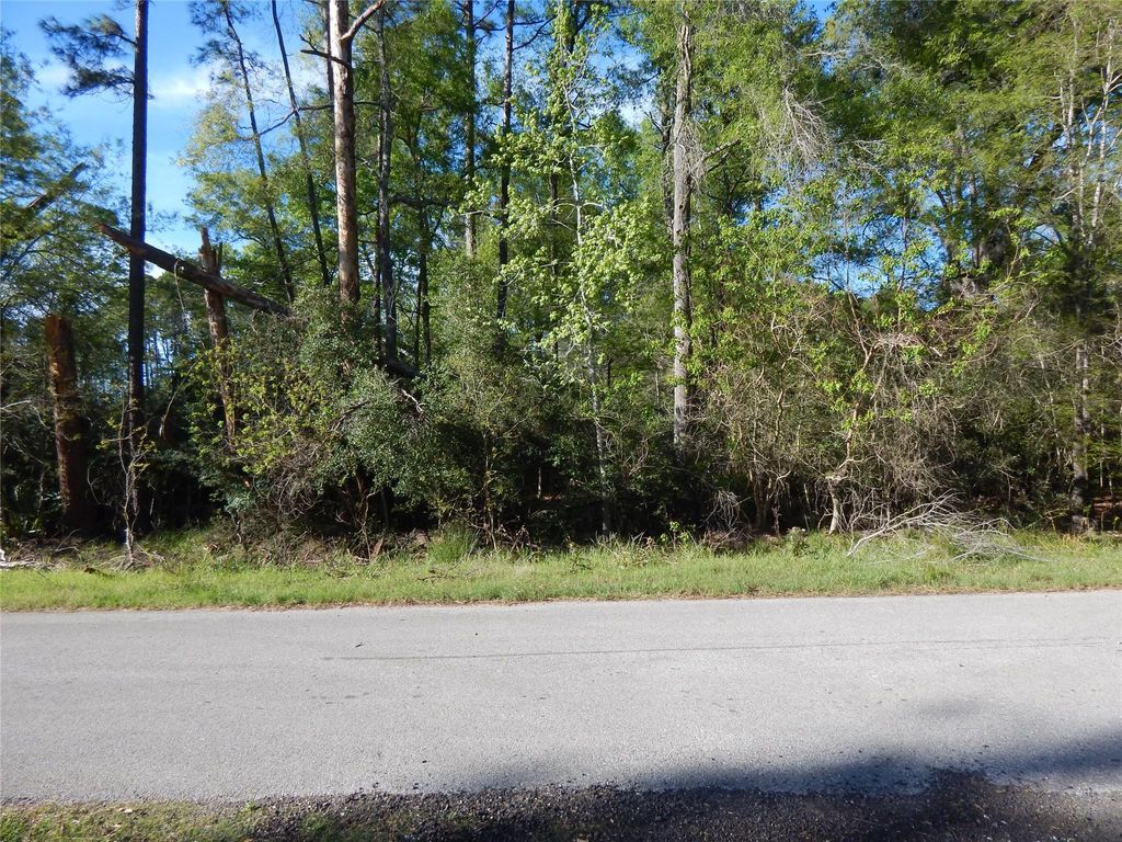 000 Pin Oak Lane, Houston, TX 77336