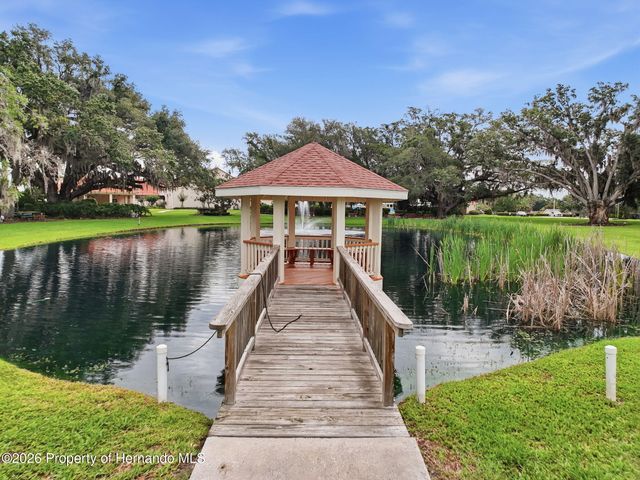 17855 SE 99th Avenue, Summerfield, FL 34491