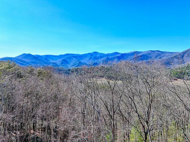 438 Mill Ridge Road, Hiawassee, GA 30546