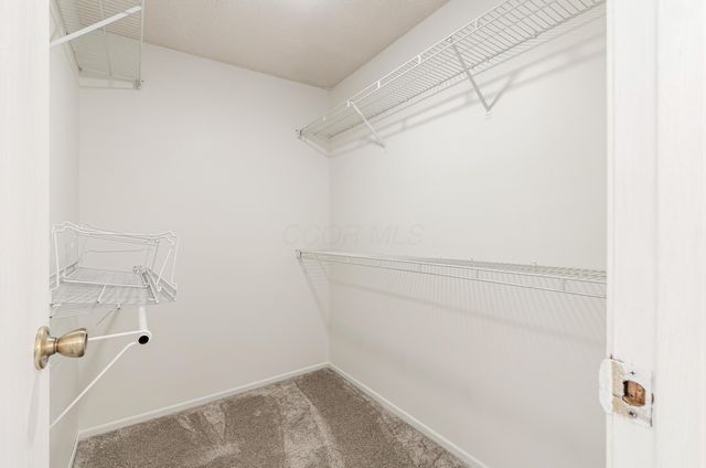 5240 Citrus Drive, Hilliard, OH 43026