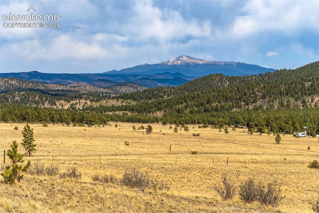 Pike View Drive, Lake George, CO 80827 — exterior