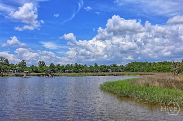 223 Mariners Way, Savannah, GA 31419