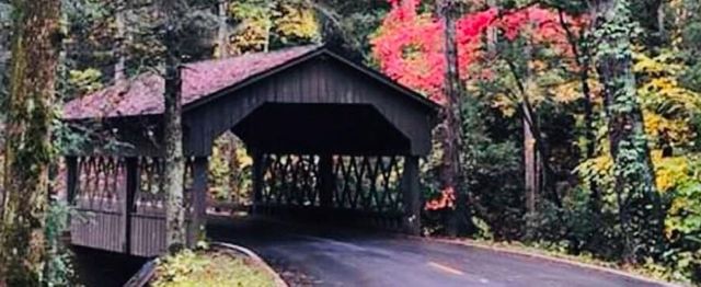 71 Yellow Root Drive, Big Canoe, GA 30143