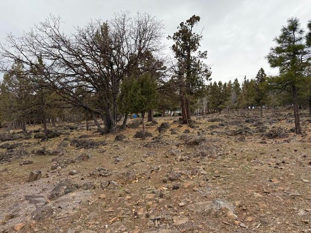 0 Dowitcher Road Lot 533, Klamath Falls, OR 97601