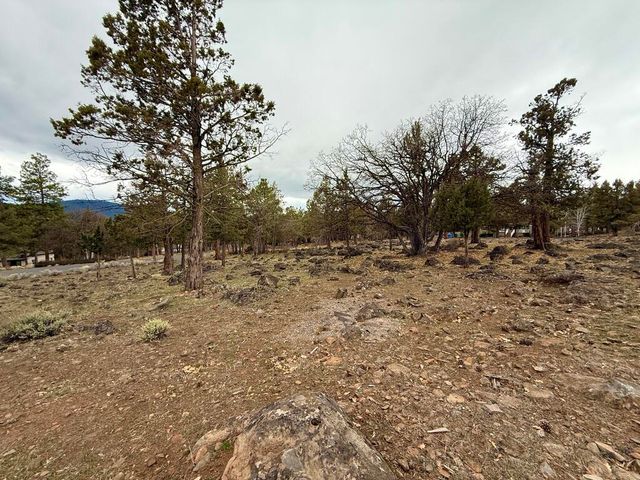 0 Dowitcher Road Lot 533, Klamath Falls, OR 97601
