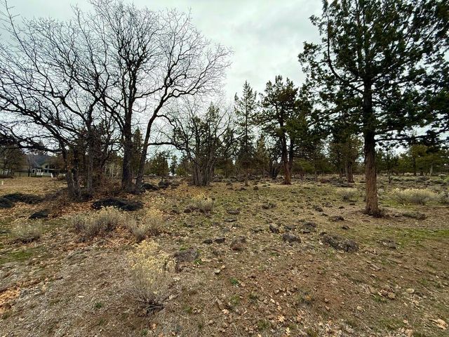 0 Dowitcher Road Lot 533, Klamath Falls, OR 97601
