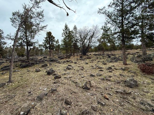 0 Dowitcher Road Lot 533, Klamath Falls, OR 97601