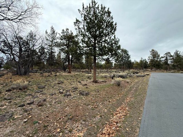 0 Dowitcher Road Lot 533, Klamath Falls, OR 97601