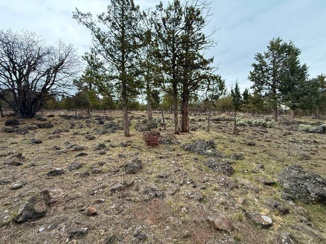 0 Dowitcher Road Lot 533, Klamath Falls, OR 97601
