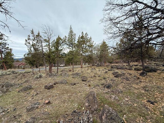 0 Dowitcher Road Lot 533, Klamath Falls, OR 97601
