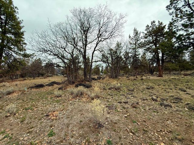 0 Dowitcher Road Lot 533, Klamath Falls, OR 97601