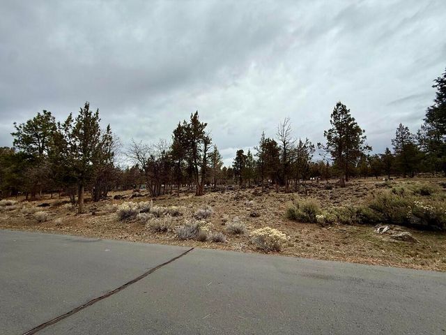 0 Dowitcher Road Lot 533, Klamath Falls, OR 97601