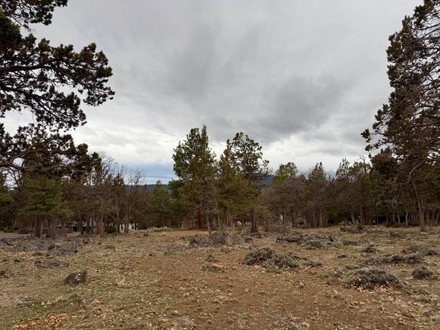 0 Dowitcher Road Lot 533, Klamath Falls, OR 97601