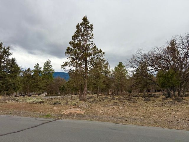 0 Dowitcher Road Lot 533, Klamath Falls, OR 97601