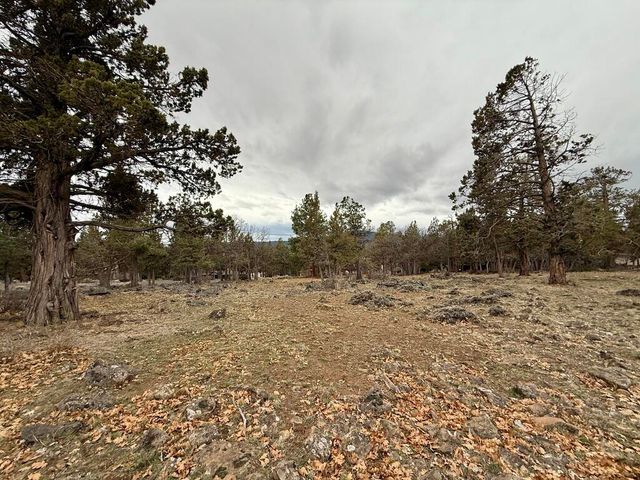 0 Dowitcher Road Lot 533, Klamath Falls, OR 97601