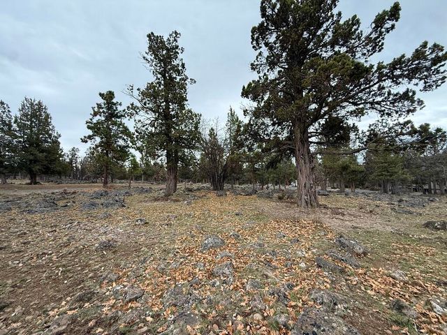 0 Dowitcher Road Lot 533, Klamath Falls, OR 97601