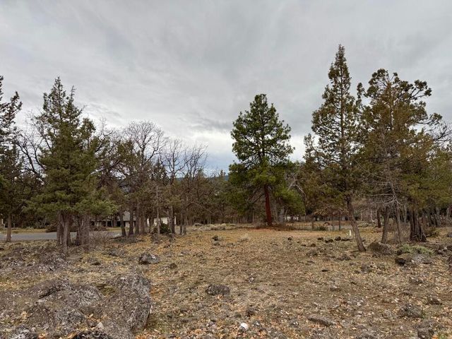 0 Dowitcher Road Lot 533, Klamath Falls, OR 97601