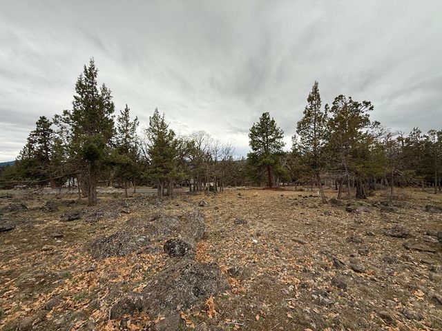 0 Dowitcher Road Lot 533, Klamath Falls, OR 97601