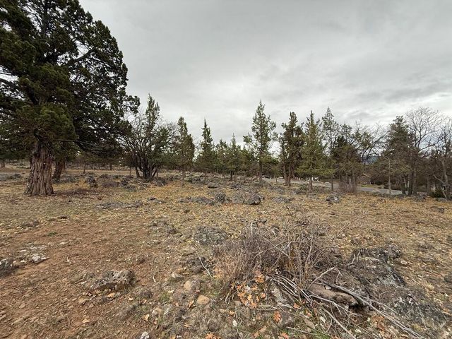 0 Dowitcher Road Lot 533, Klamath Falls, OR 97601