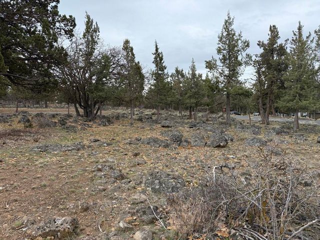 0 Dowitcher Road Lot 533, Klamath Falls, OR 97601