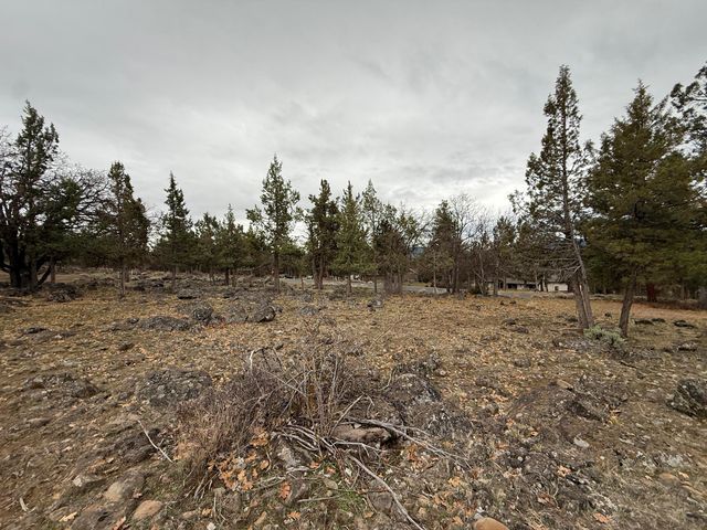 0 Dowitcher Road Lot 533, Klamath Falls, OR 97601