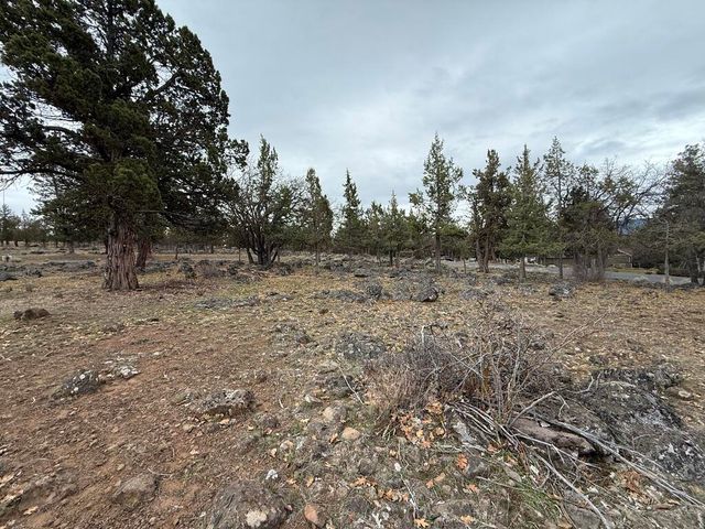 0 Dowitcher Road Lot 533, Klamath Falls, OR 97601