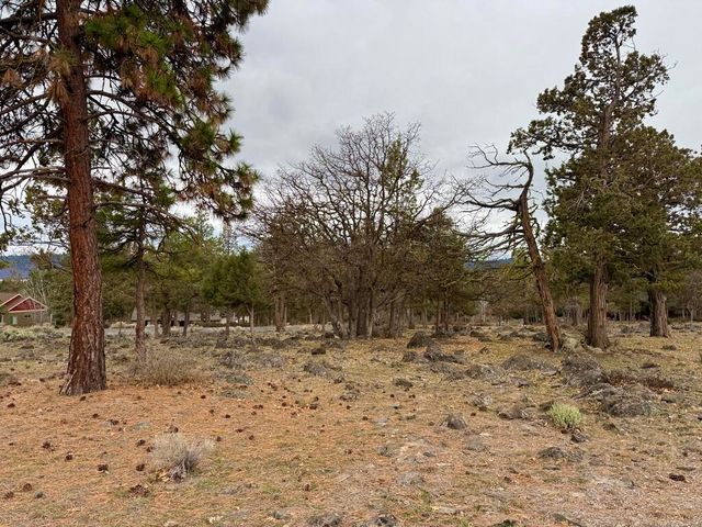 0 Dowitcher Road Lot 533, Klamath Falls, OR 97601