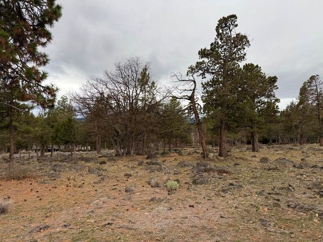 0 Dowitcher Road Lot 533, Klamath Falls, OR 97601